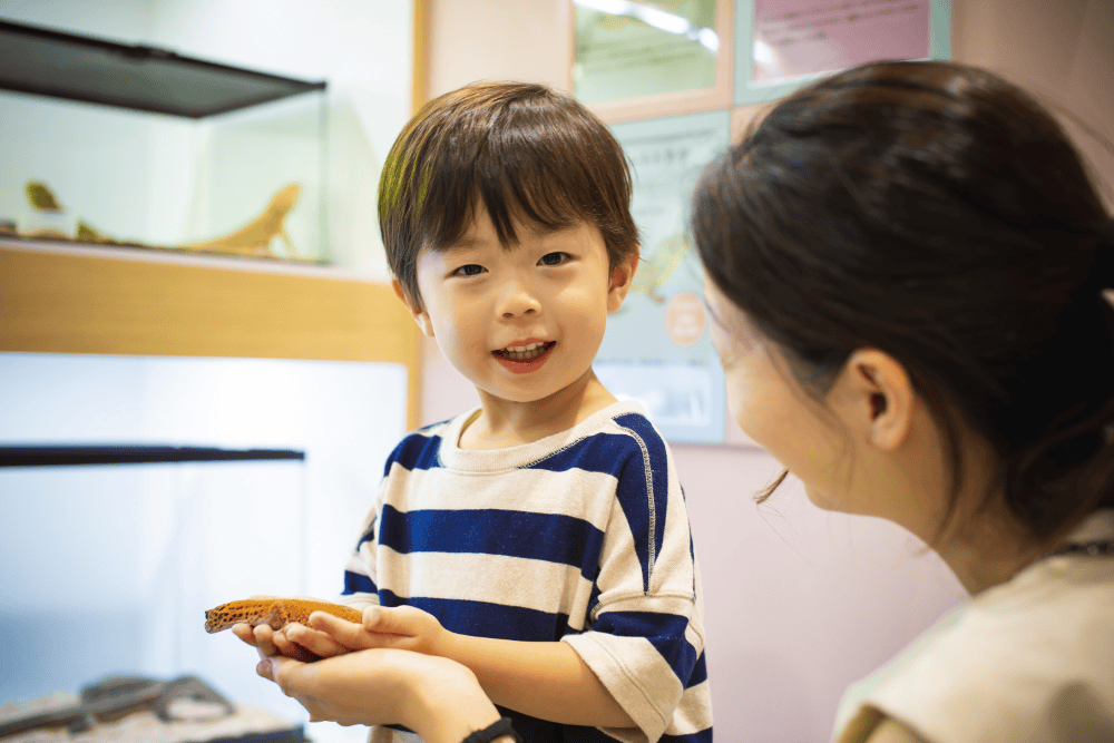 アニタッチ アクアシティお台場で小さな生きものを手に乗せる子ども