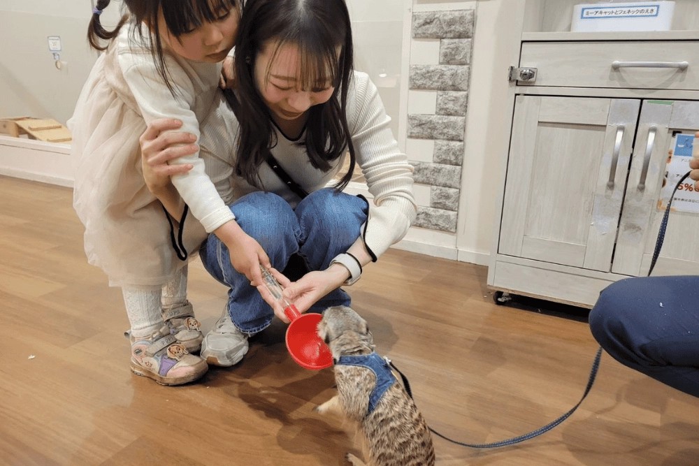 アニタッチ みなとみらいでミーアキャットにおやつをあげる親子