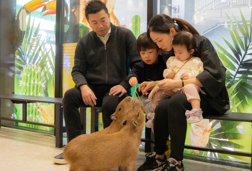 アニタッチ東京ドームシティで動物にえさをあげる家族連れ