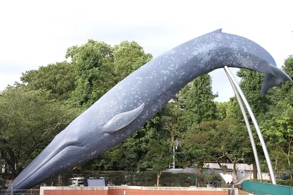 国立科学博物館 屋外のシロナガスクジラ像