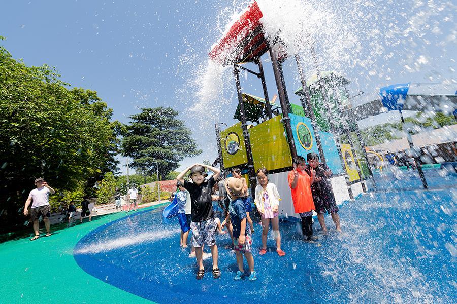 清水公園 アクアベンチャー