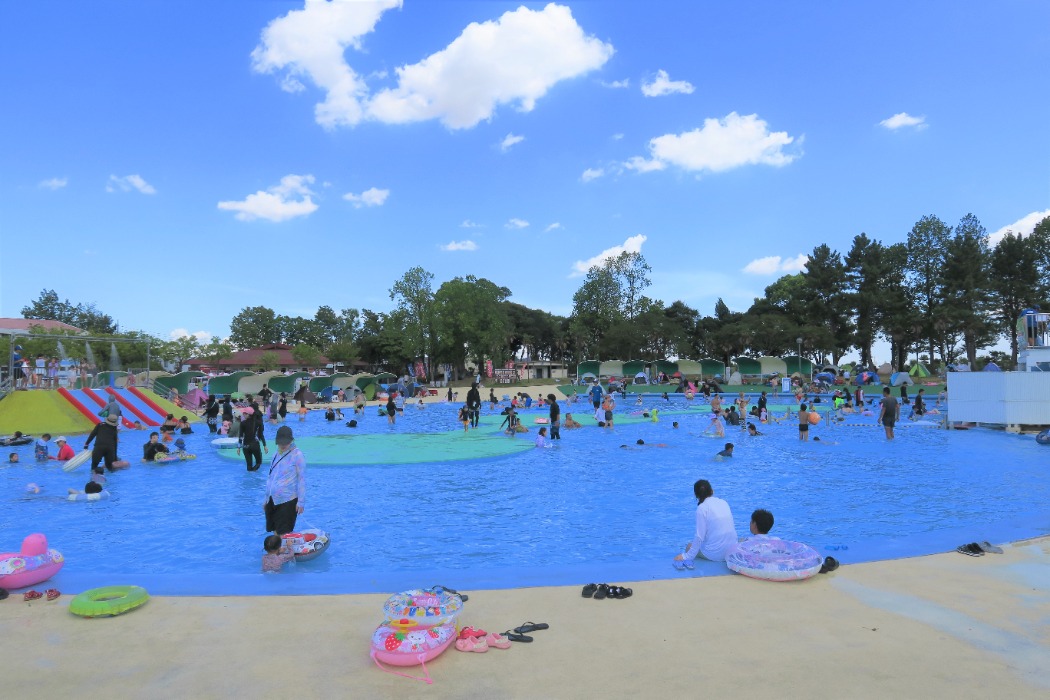 しらこばと水上公園のプール