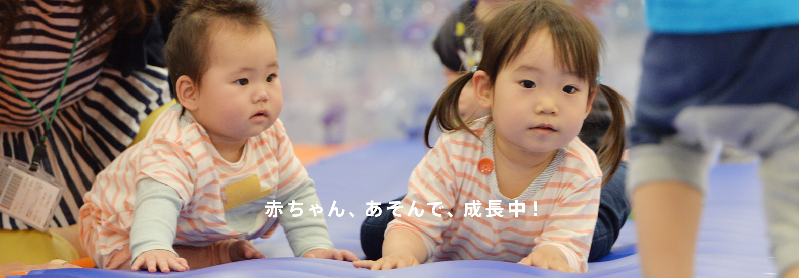 ボーネルンド キドキドの赤ちゃん専用ベビーガーデンで遊ぶ赤ちゃんたち