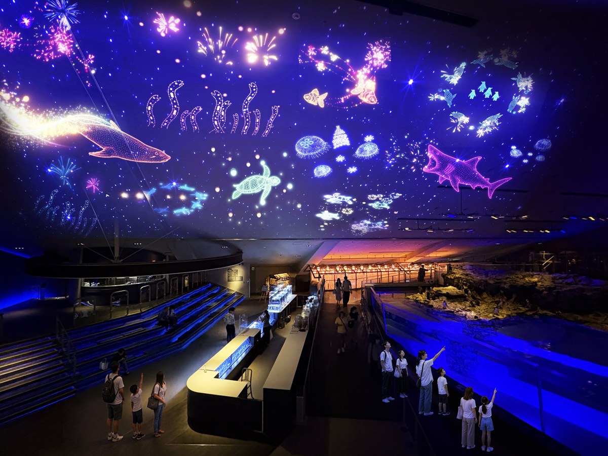 すみだ水族館