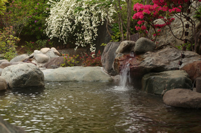 花湯スパリゾートの壺湯と花木