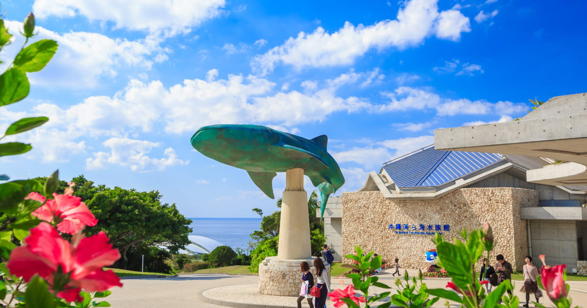 沖縄美ら海水族館の料金とチケット2026|6歳未満無料・イルカショーの時間と所要時間