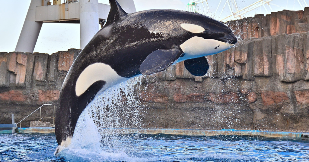 名古屋港水族館の料金とチケット2026｜幼児500円・所要2〜3時間の回り方