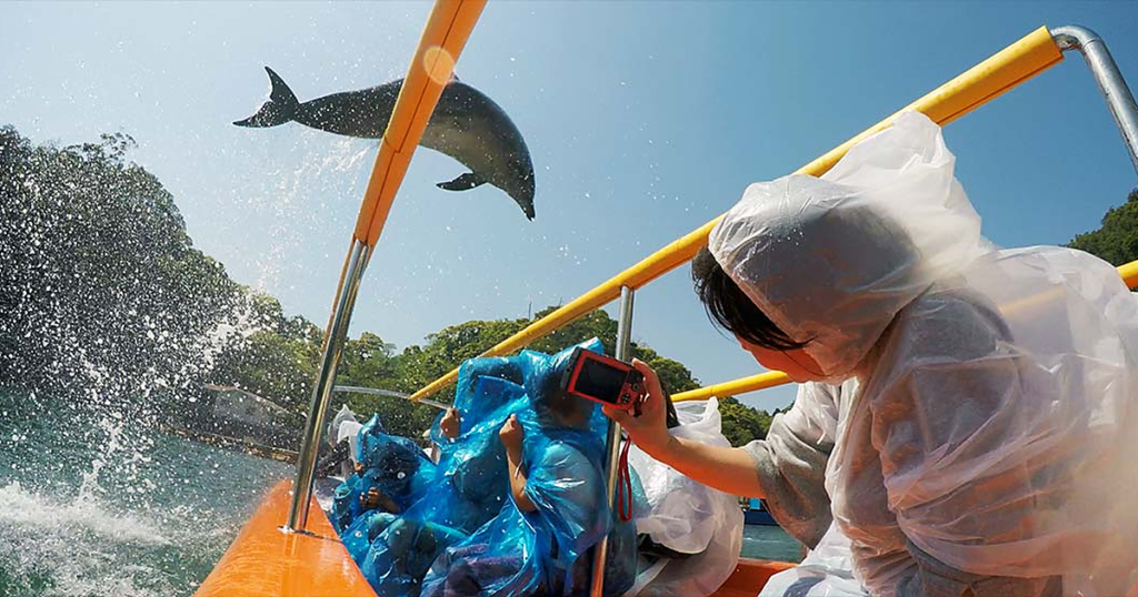 下田海中水族館の料金とチケット2026｜前売は大人250円安い・イルカショーの時間とエサやり