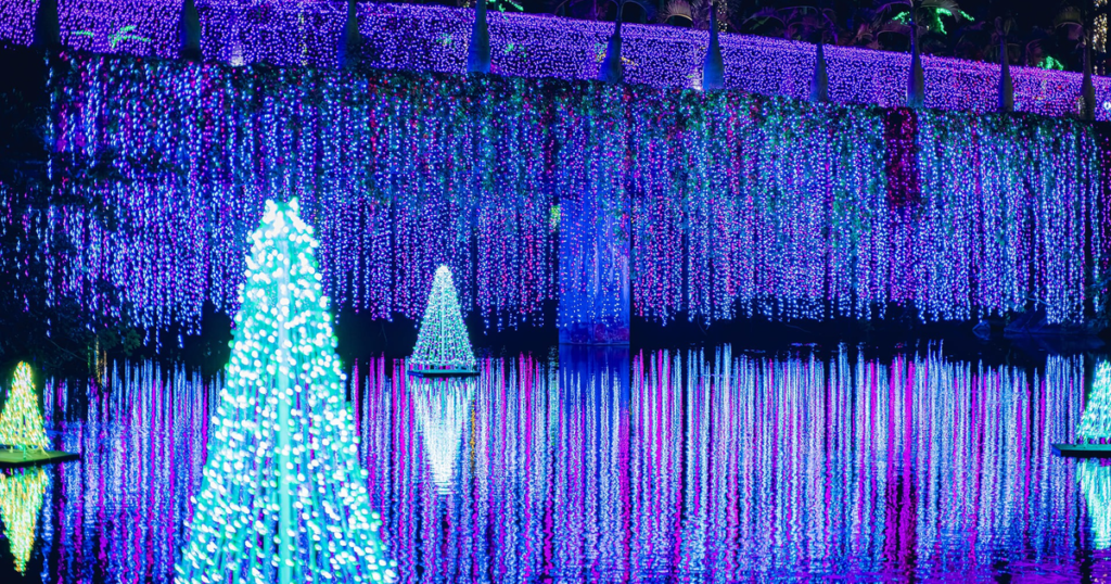 東南植物楽園の料金とチケット2026|イルミネーションは10月23日から・昼の部は事前200円安い