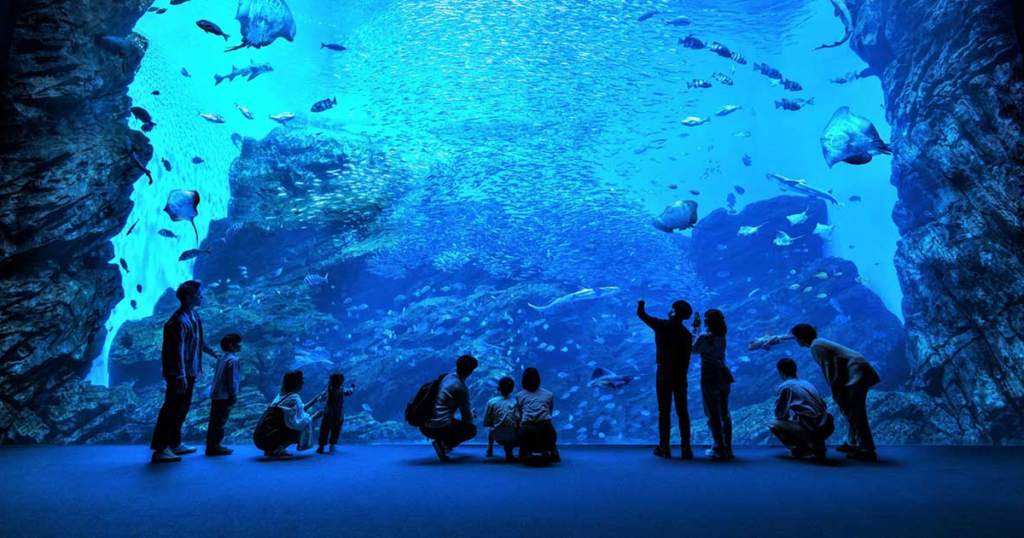 仙台うみの杜水族館の料金と割引2026｜4才未満無料・引換なしで入れる前売券