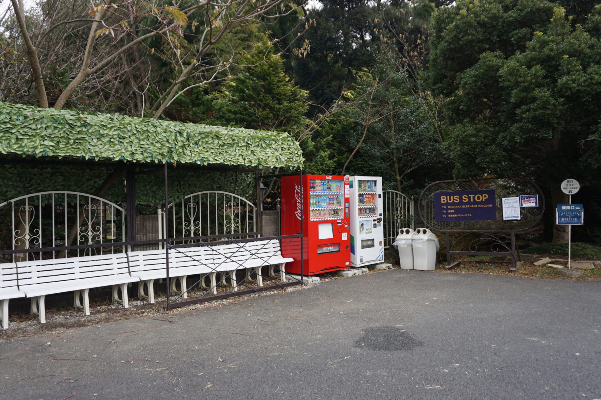 市原ぞうの国行きの無料送迎バス