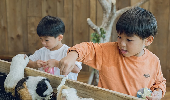 屋内のあにま~るでモルモットにエサをあげる子どもたち