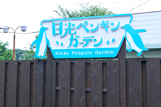 ペンギンガーデンのペンギン
