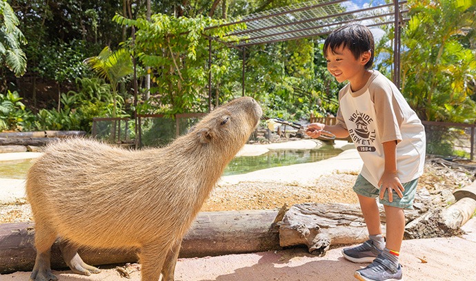 カピバラにエサを差し出す男の子