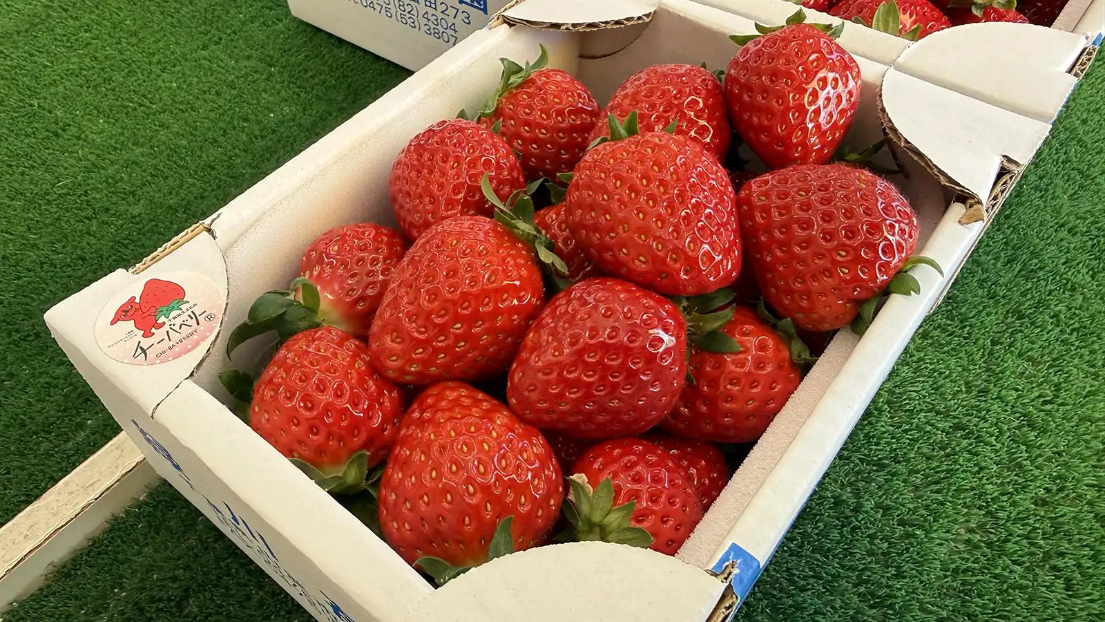 直売所で売られている苺の箱詰め