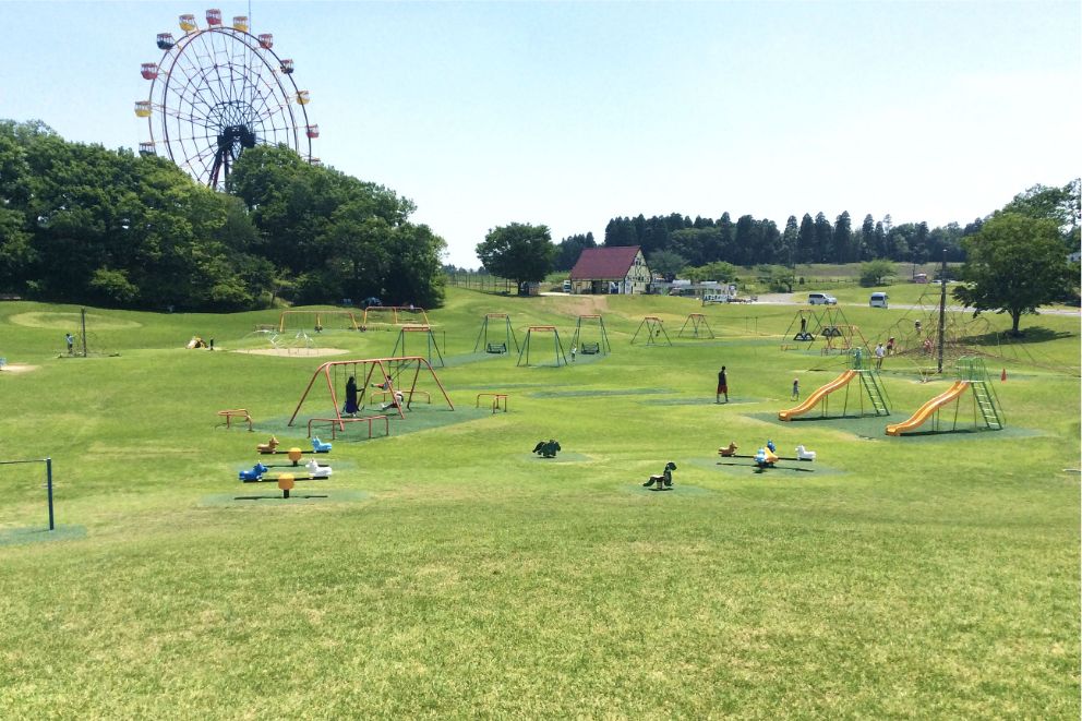 芝生と遊具が広がる園内