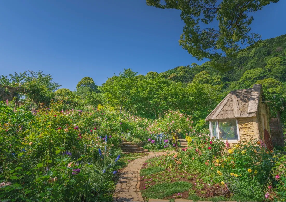 花に囲まれたレンガの小道と小屋