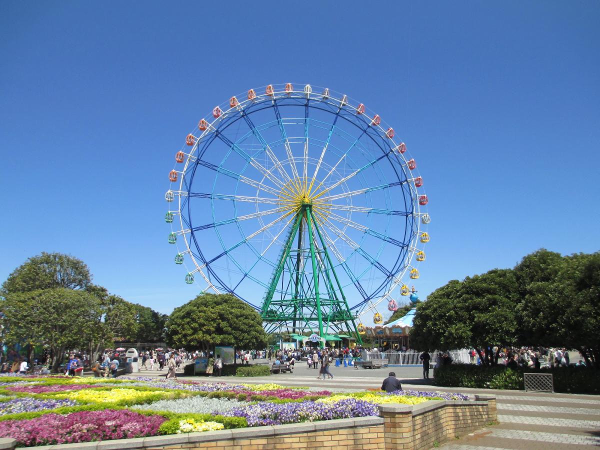 花壇越しに見えるひたち海浜公園プレジャーガーデンの大観覧車