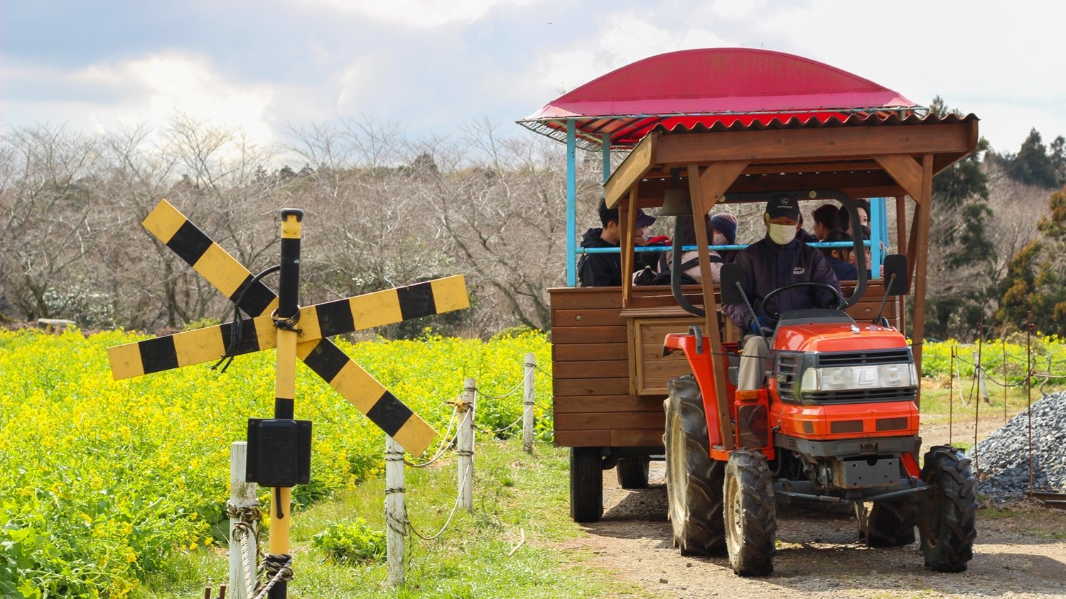 花畑を走るトラクター遊覧列車