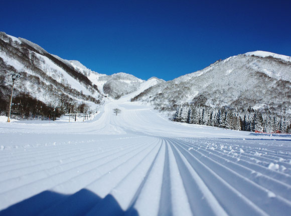圧雪されたばかりの幅の広いゲレンデと雪山