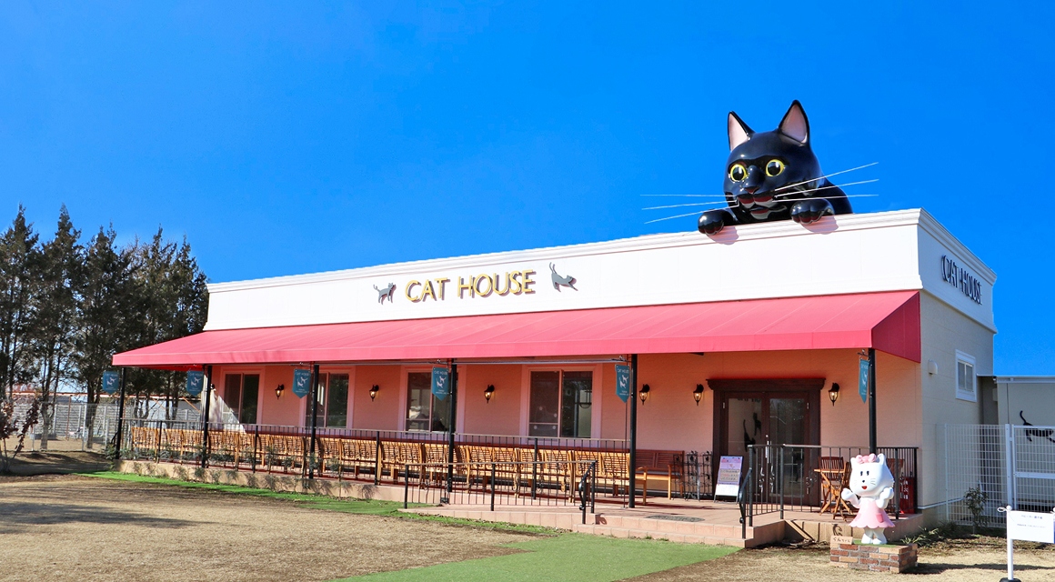 黒猫のモニュメントに乗るキャットハウス外観