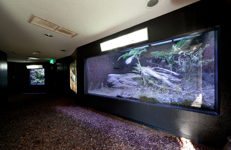 ガラスの展示ケースが並ぶ館内の通路