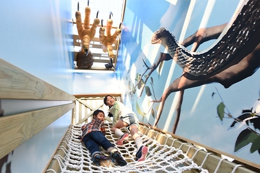 迷宮森殿ITADAKIの館内