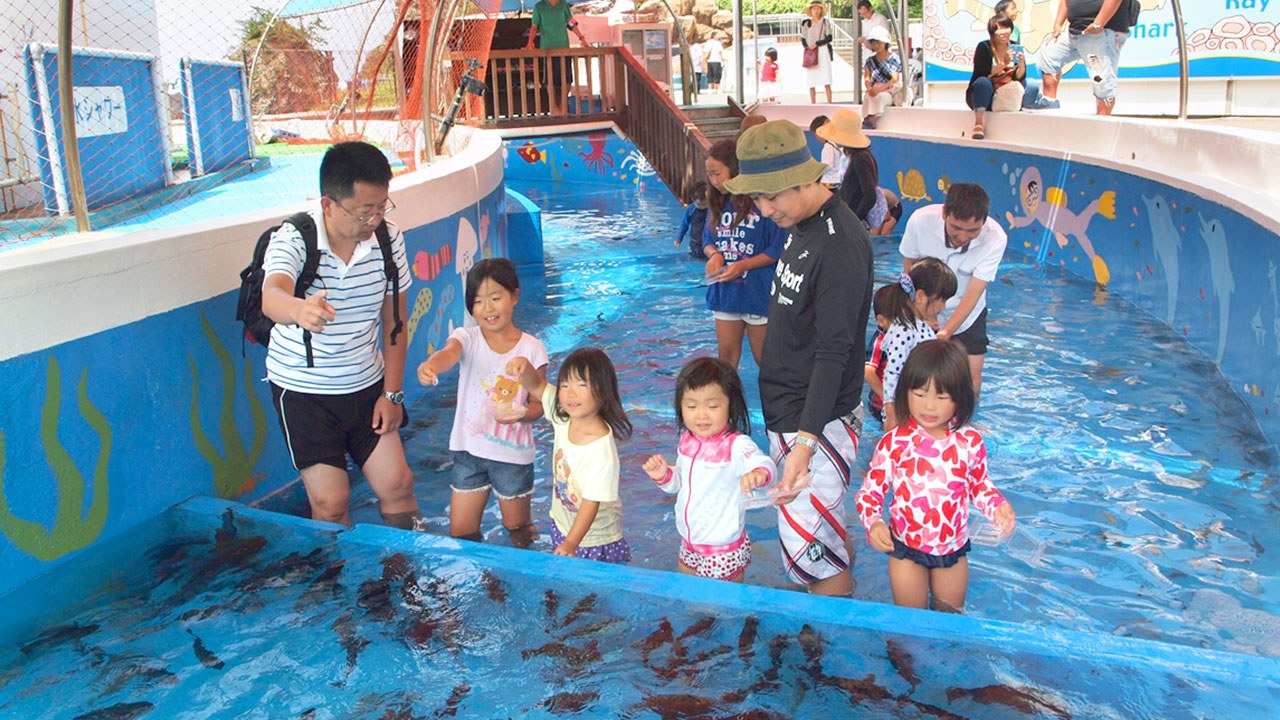 海水プールに入って魚にエサをあげる親子