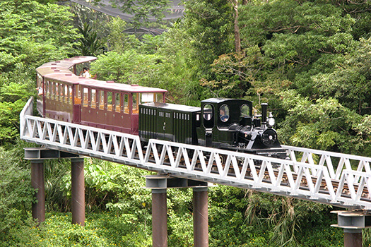 緑の中の鉄橋を走る沖縄軽便鉄道の列車(ネオパークオキナワ)