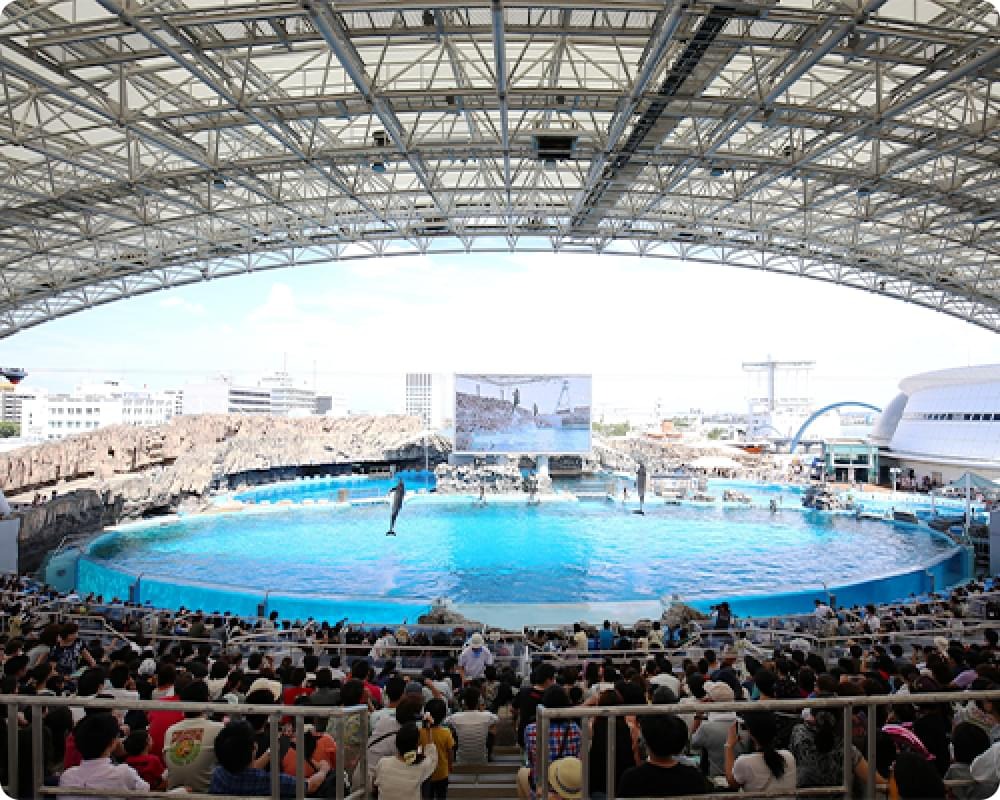 観客で埋まったスタジアムの前でイルカがジャンプするメインプール(名古屋港水族館)