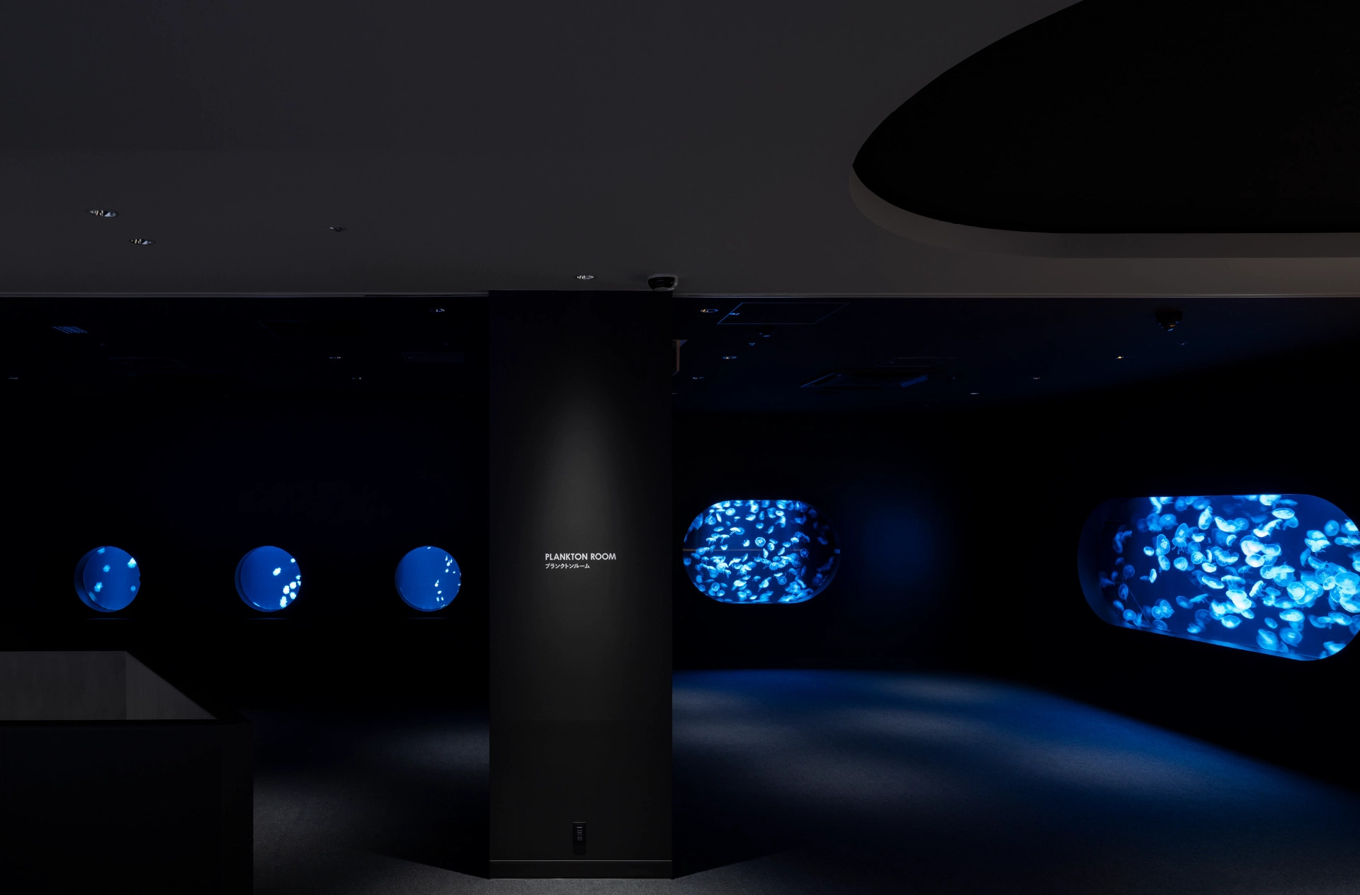6階PLANKTON ROOMの青く光るクラゲの水槽