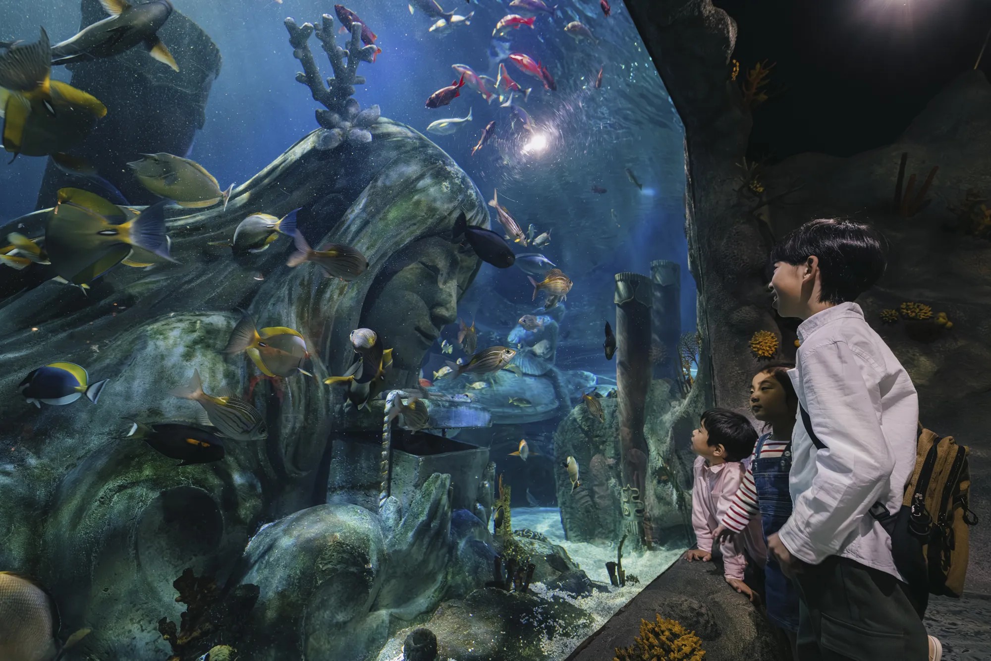名古屋シーライフ水族館 りゅうぐうじょうの大水槽を見る親子