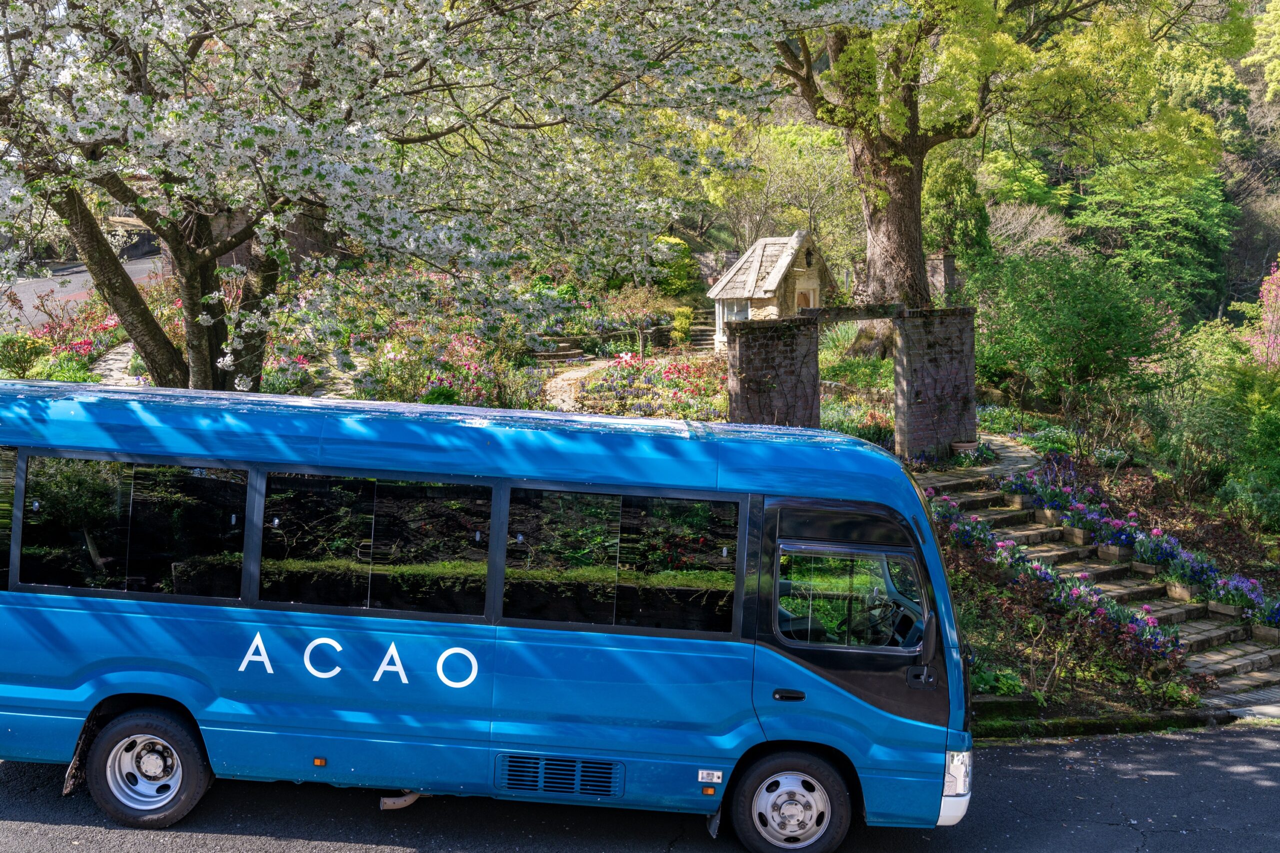 ACAOのロゴが入った青い園内バス
