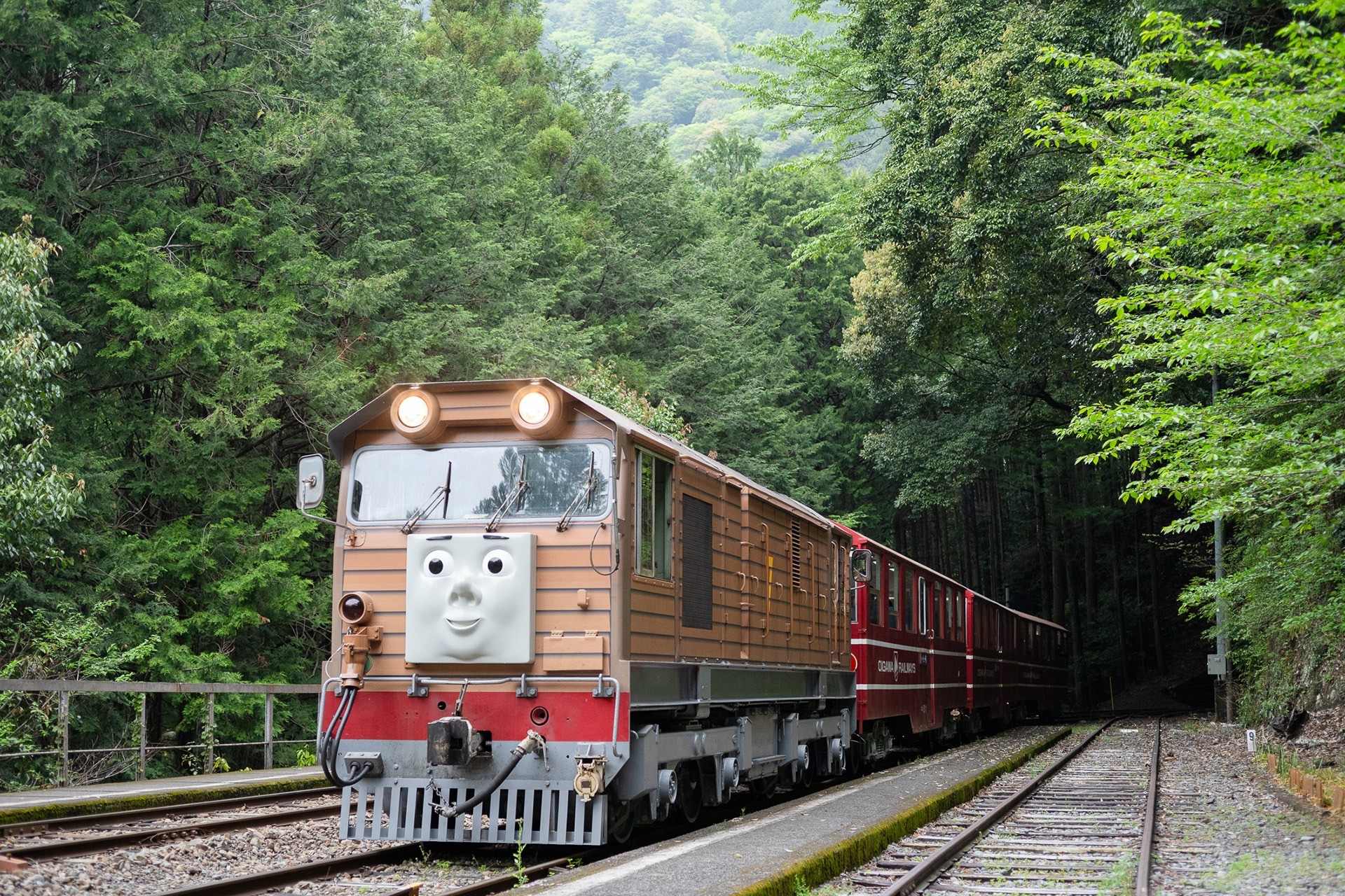 山あいの線路を走る茶色いきかんしゃトビー号と赤い客車