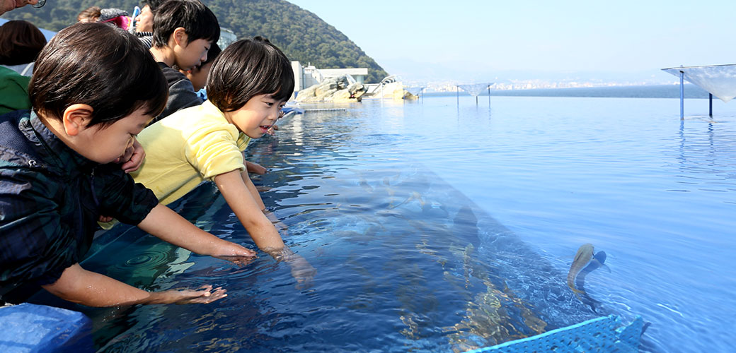 別府湾に面したプールに手を入れる子どもたち