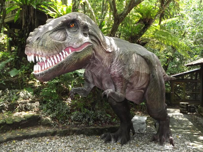亜熱帯の森の遊歩道沿いに立つティラノサウルス(DINO恐竜PARK やんばる亜熱帯の森)