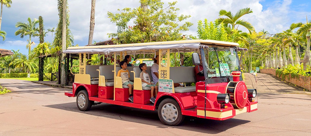 赤い車体の周遊バス「ヤッシー号」