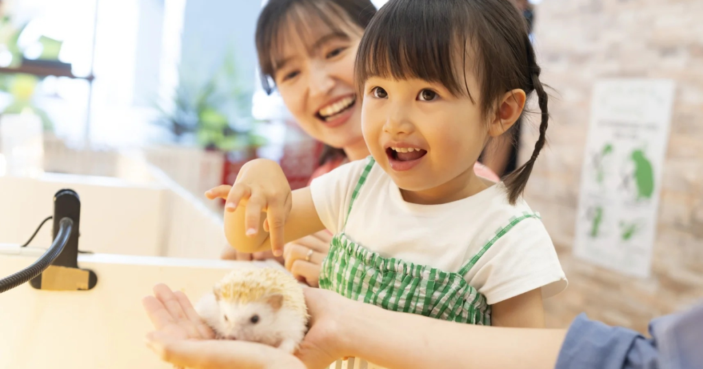アニタッチの料金と割引2026｜全6店舗と10月開業の吉祥寺・予約は必要か