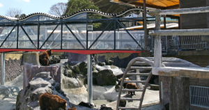 阿蘇カドリー・ドミニオンの料金・割引2026｜前売は土日祝300円安い・冬の水曜休園とショーの時間
