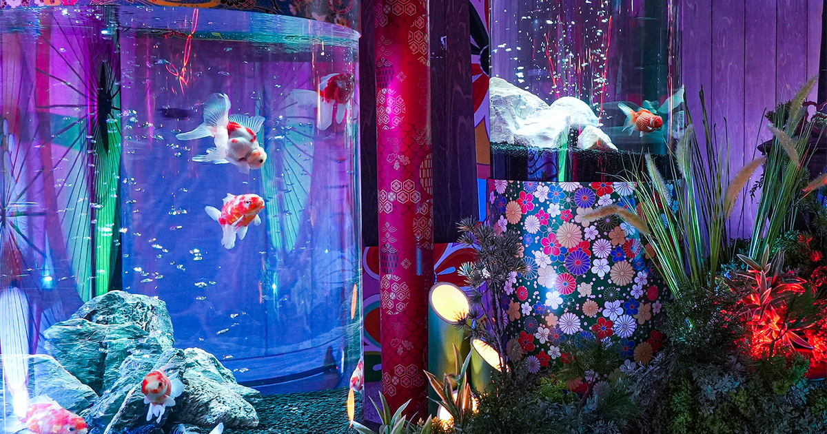 奈良金魚ミュージアムの料金とチケット2026|3歳以下無料・所要時間・館内にトイレなし