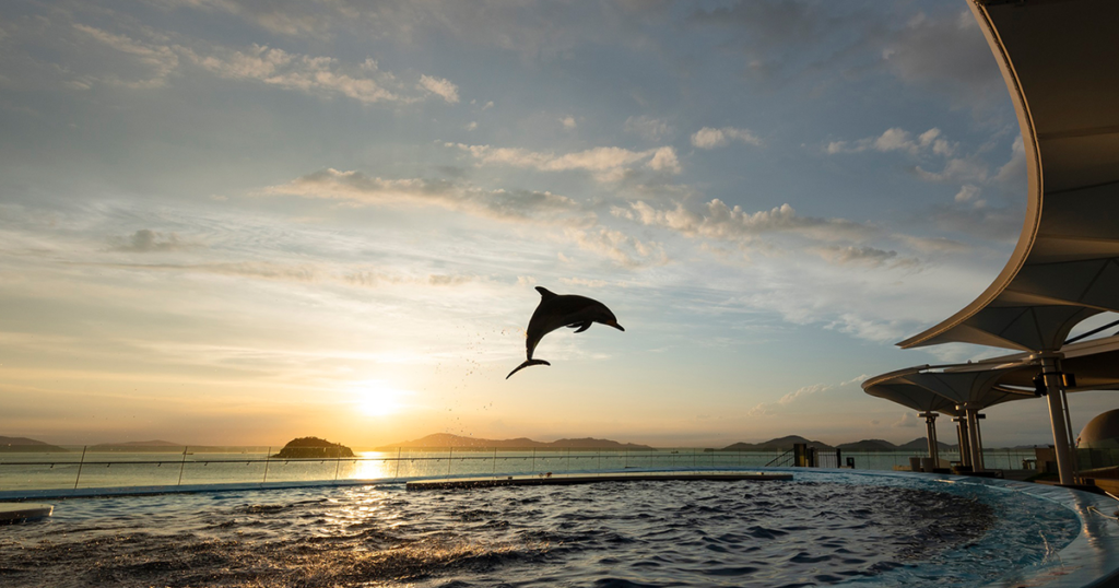 四国水族館の料金とチケット2026｜3歳未満無料・イルカの時間・所要時間と駐車場