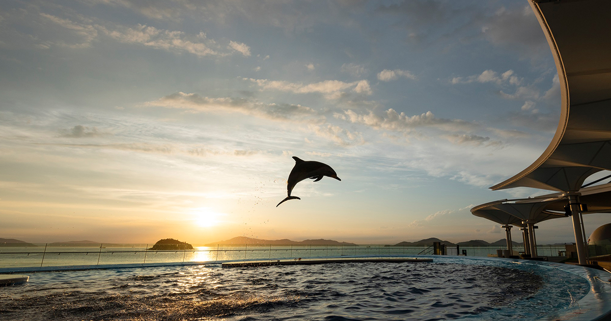四国水族館の料金とチケット2026｜3歳未満無料・イルカの時間・所要時間と駐車場