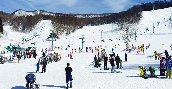 リフトが延びる山麓のゲレンデ