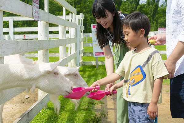 柵ごしにヤギへえさをあげる親子