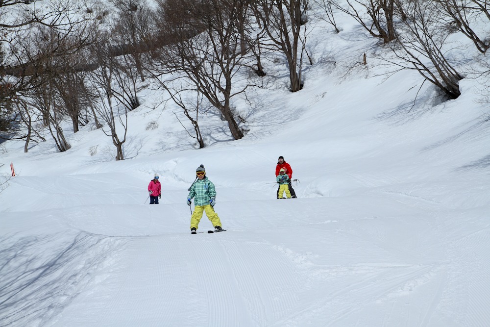 林の間を滑るHコースの子ども