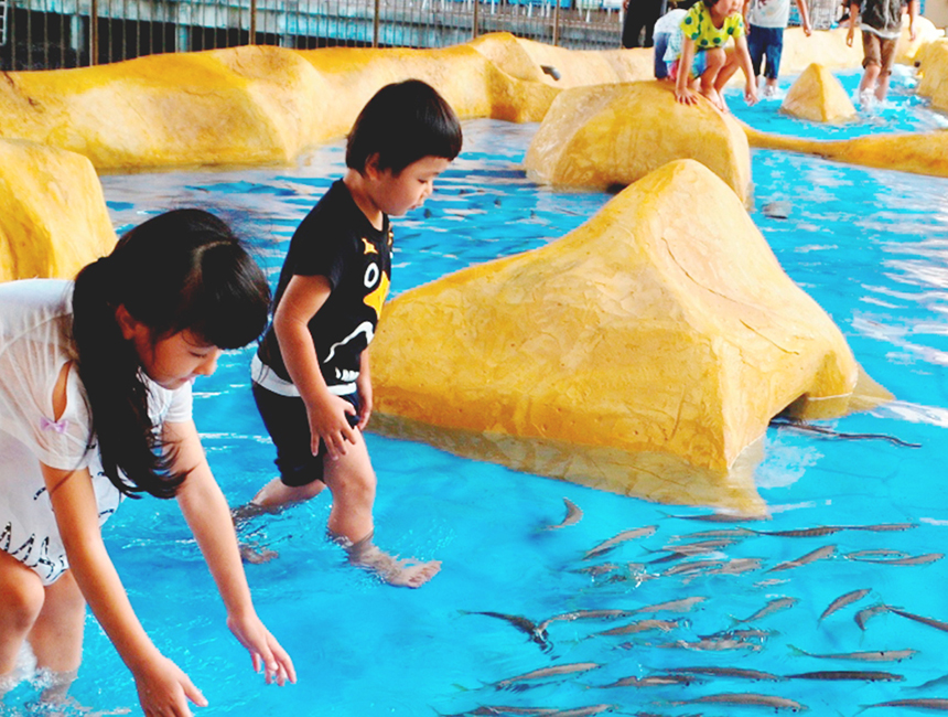 魚が泳ぐ浅いプールに足を入れる子どもたち