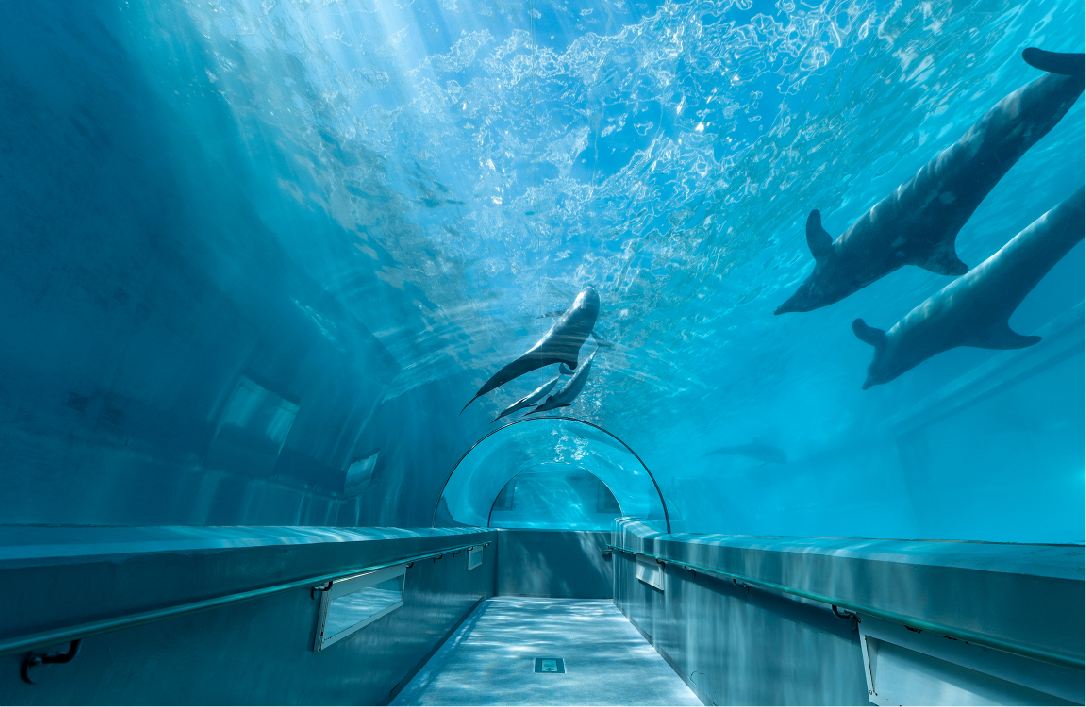 海洋水族館マリナリュウムの大水槽