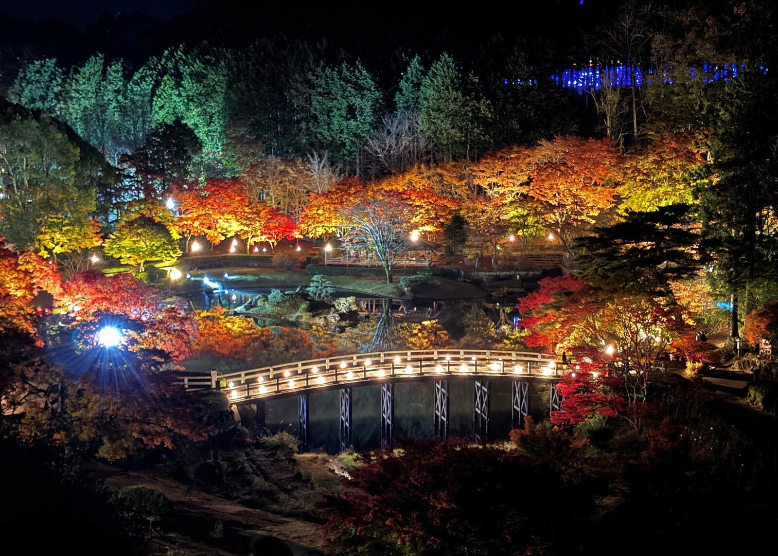 夜に照らされた池と橋のまわりの紅葉