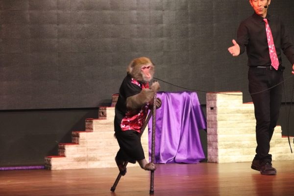 舞台で竹馬に乗る猿と猿まわしの演者