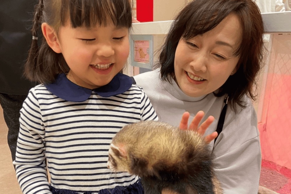 フェレットをなでる女の子と大人